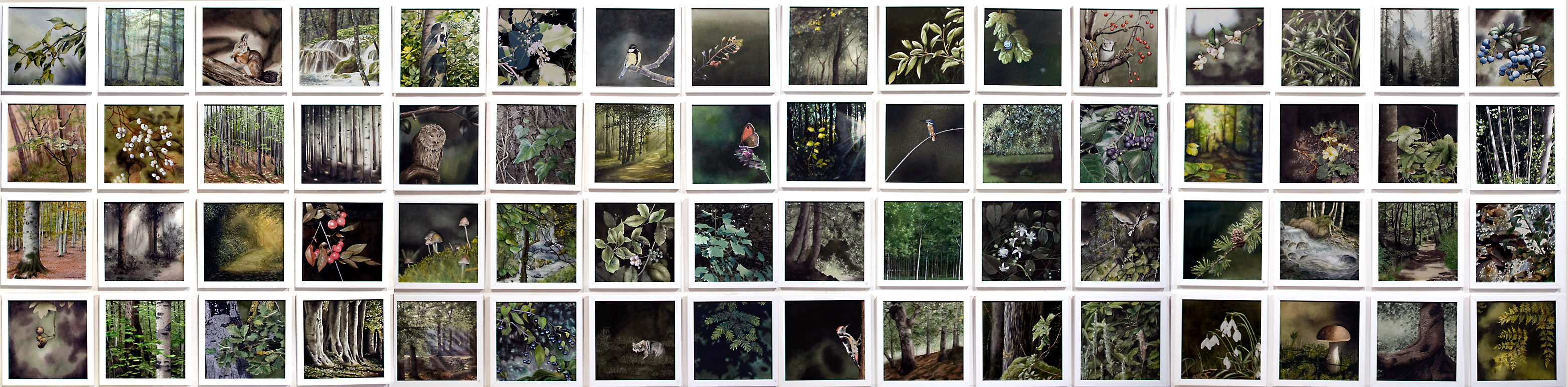 composizione alberi al carbone