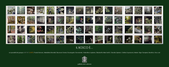 Locandina Bosco