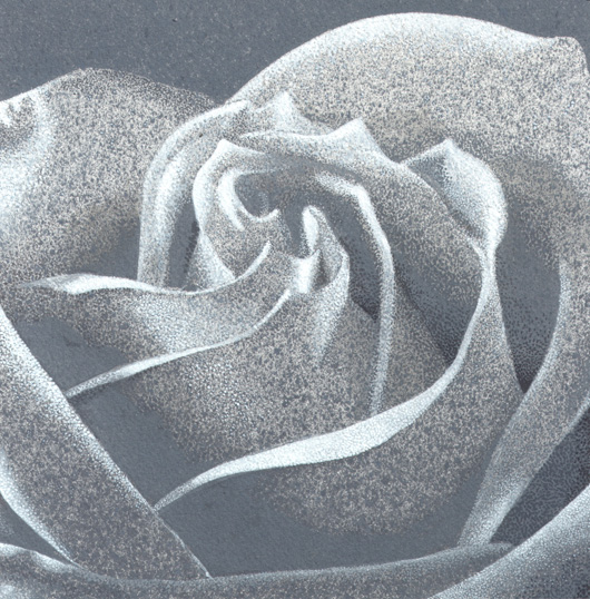 Rosa 5, 2010, tecnica mista su carta, cm 20x20