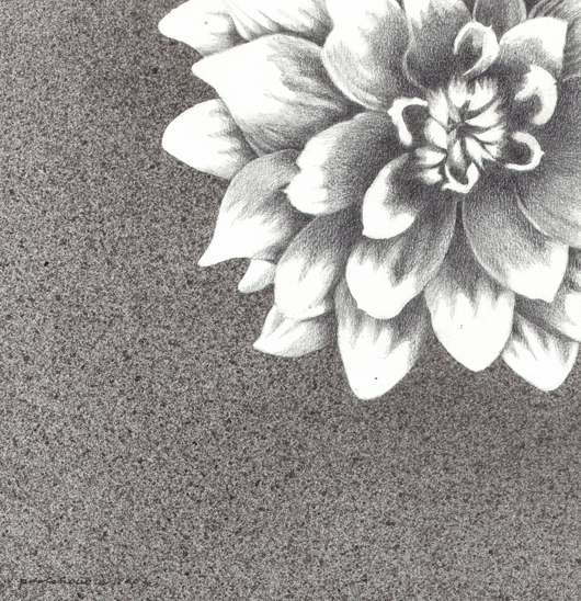 Dalia, 2007, tecnica mista su carta, cm 25x25