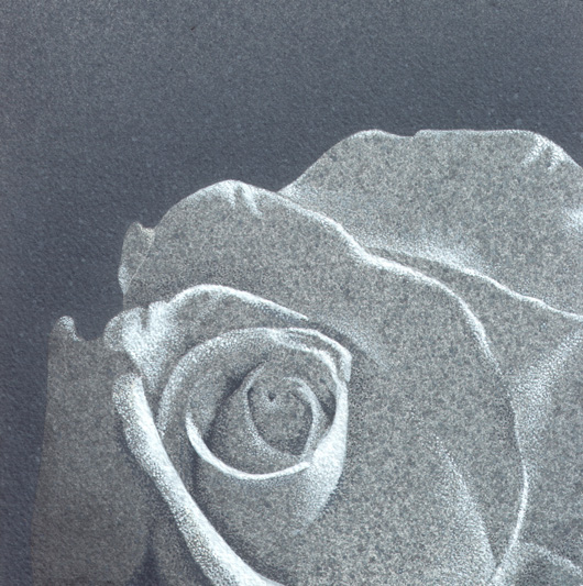 Rosa 4, 2010, tecnica mista su carta, cm 20x20