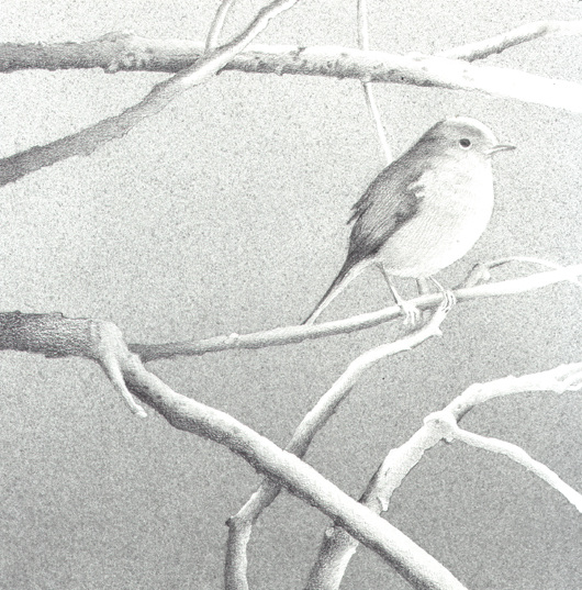 Sul ramo, 2007, tecnica mista su carta, cm 25x25