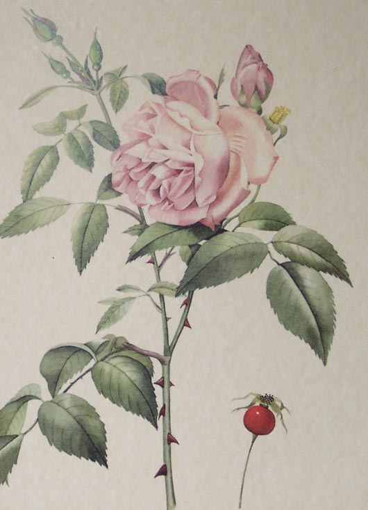 Tavola 2, 1998, tecnica mista su carta, cm 25x35