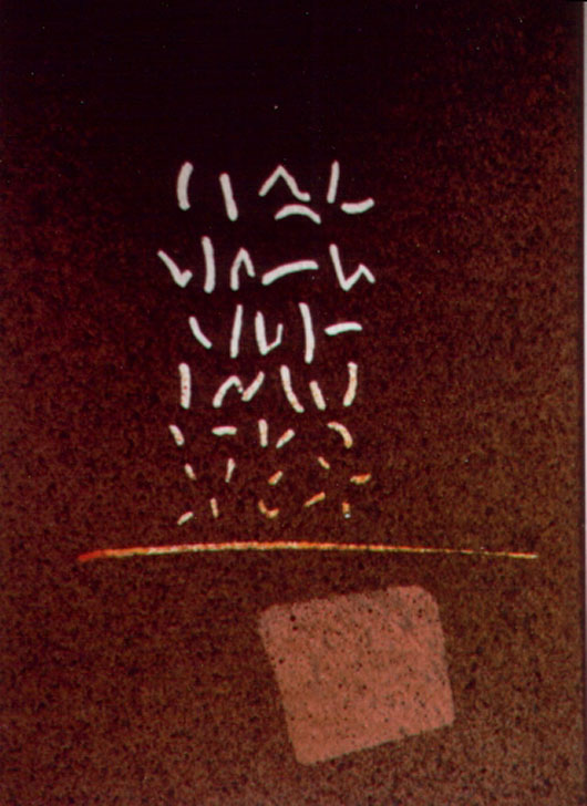 Totale, 1992, acquerello, cm 18x24