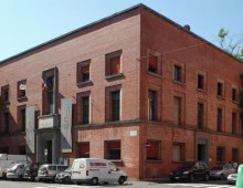Al cardellino piace essere ritratto?