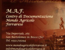 Al cardellino piace essere ritratto?